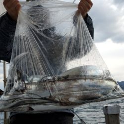 遊漁船 ニライカナイ 釣果