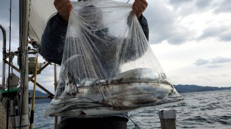 遊漁船 ニライカナイ 釣果