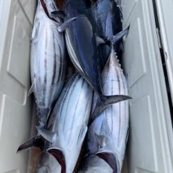 へいみつ丸 釣果