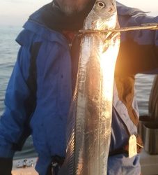 遊漁船 ニライカナイ 釣果