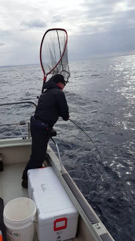 海峰 釣果