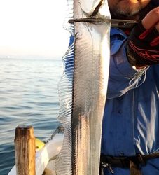 遊漁船 ニライカナイ 釣果