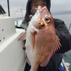 遊漁船 ニライカナイ 釣果
