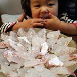 遊漁船 ニライカナイ 釣果