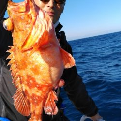 遊漁船 新鋭丸 釣果