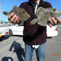 館山つりセンターくろしお丸 釣果