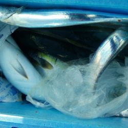 弘福丸 釣果