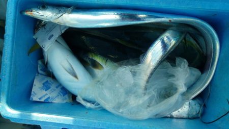 弘福丸 釣果