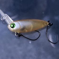 フィッシング サンクチュアリ 釣果