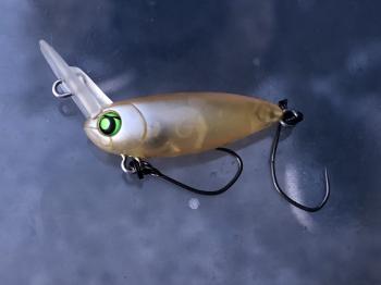 フィッシング サンクチュアリ 釣果