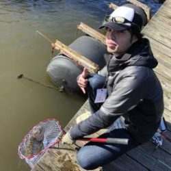 フィッシング サンクチュアリ 釣果