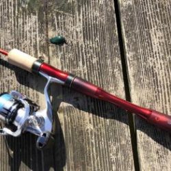 フィッシング サンクチュアリ 釣果