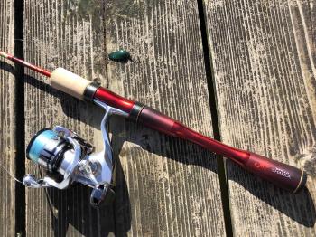 フィッシング サンクチュアリ 釣果