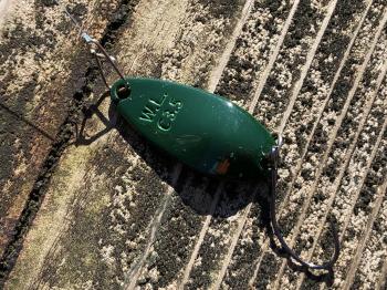 フィッシング サンクチュアリ 釣果