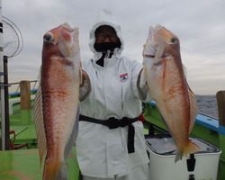 久里浜黒川本家 釣果