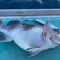 広進丸 釣果