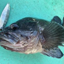 広進丸 釣果