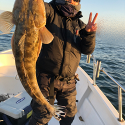 Magic(マジック) 釣果