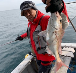 幸吉丸 釣果