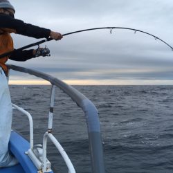 松鶴丸 釣果