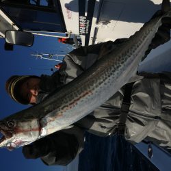 松鶴丸 釣果