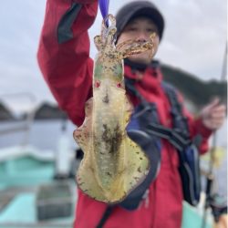 シードリーム 釣果