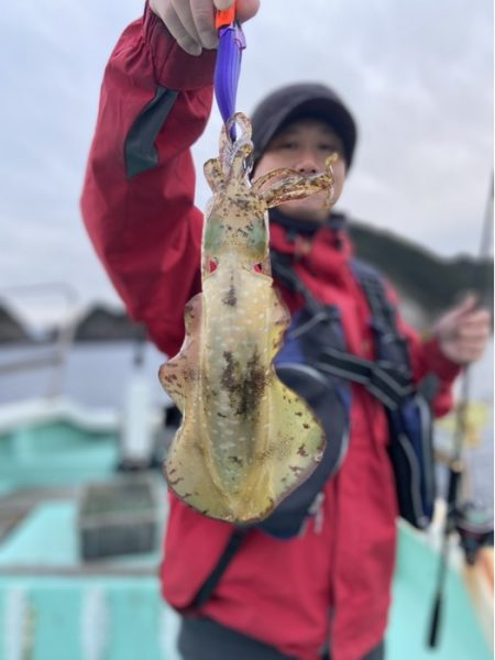 シードリーム 釣果