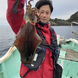 シードリーム 釣果