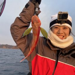 シードリーム 釣果