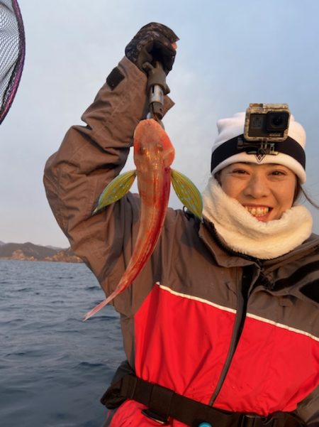 シードリーム 釣果