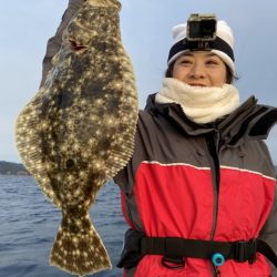 シードリーム 釣果