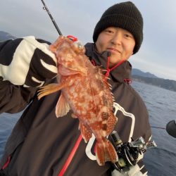 シードリーム 釣果