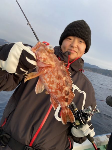 シードリーム 釣果