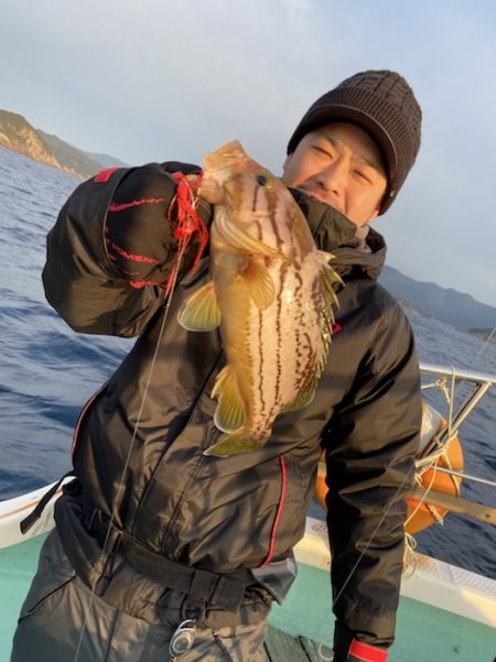 シードリーム 釣果