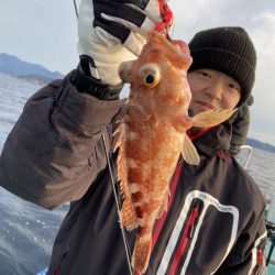 シードリーム 釣果