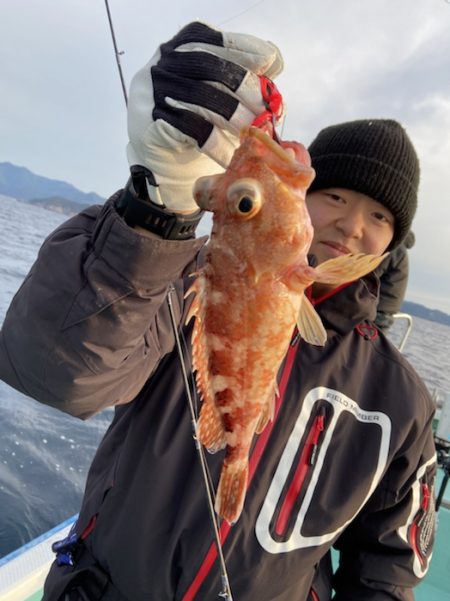 シードリーム 釣果