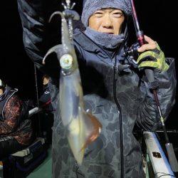 シードリーム 釣果