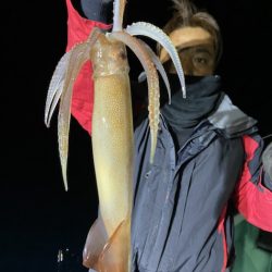 シードリーム 釣果