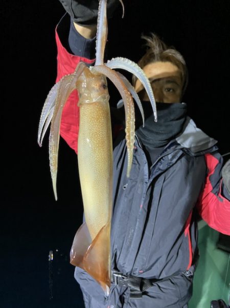 シードリーム 釣果