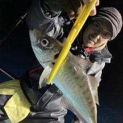 シードリーム 釣果