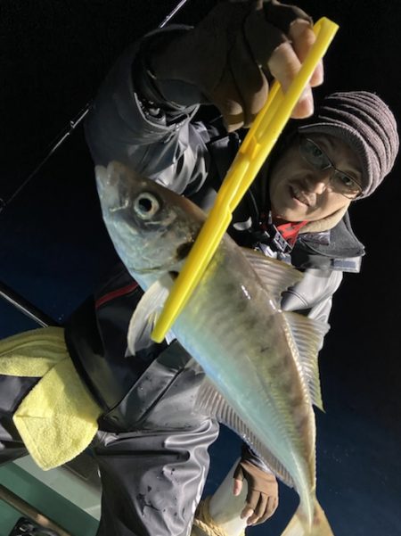 シードリーム 釣果