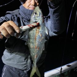 シードリーム 釣果