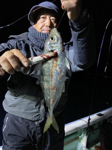 シードリーム 釣果