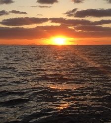 シーモンキー 釣果