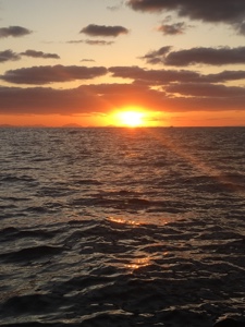 シーモンキー 釣果