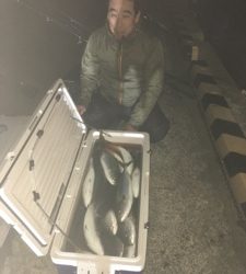 シーモンキー 釣果