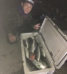 シーモンキー 釣果