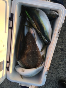 シーモンキー 釣果