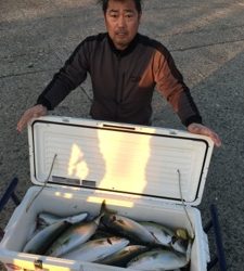 シーモンキー 釣果
