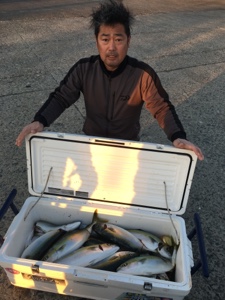 シーモンキー 釣果